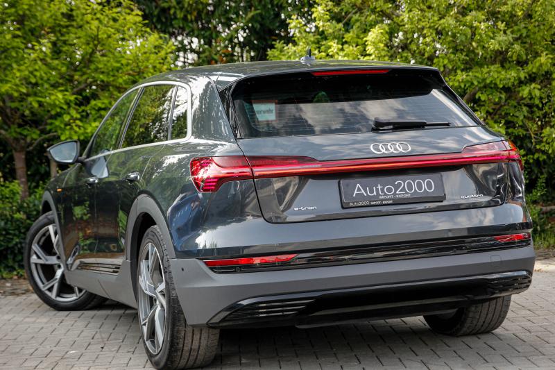 Audi - E-tron - pic5