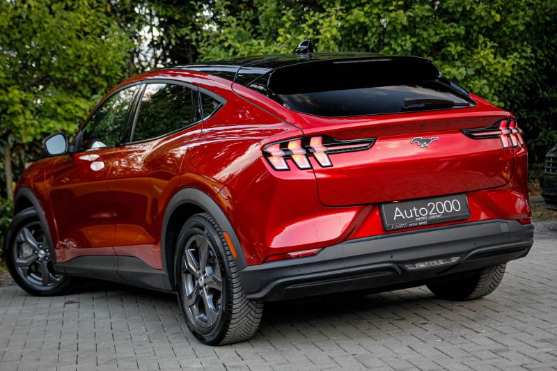 Ford - Mustang - pic6