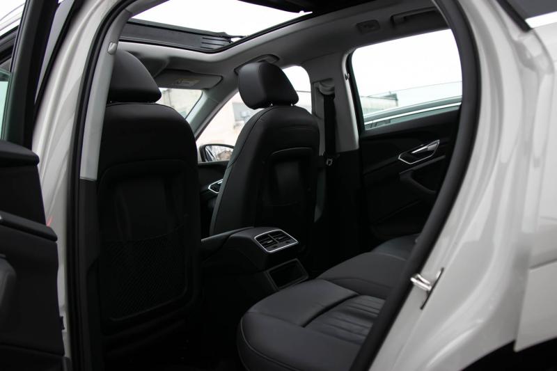 Audi - E-tron - pic12