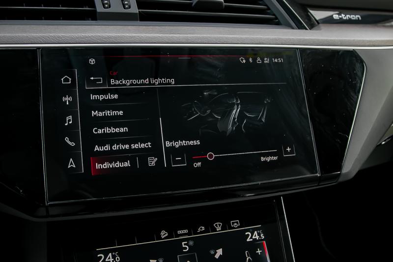 Audi - E-Tron - pic60