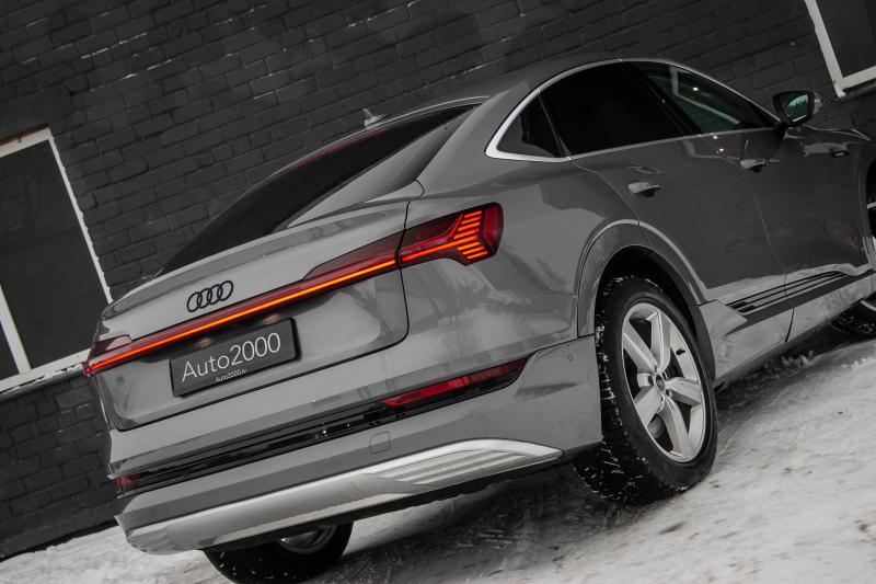 Audi - E-tron - pic6