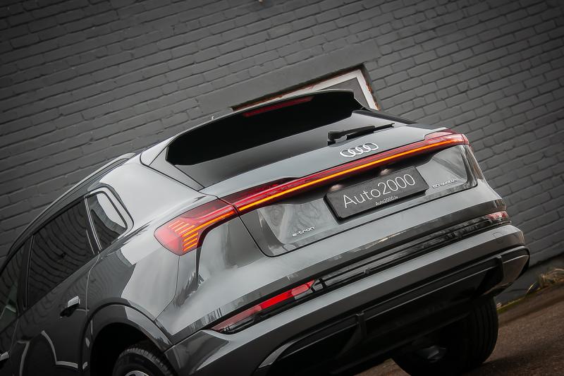 Audi - E-tron - pic40