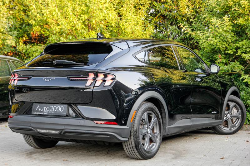 Ford - Mustang - pic9