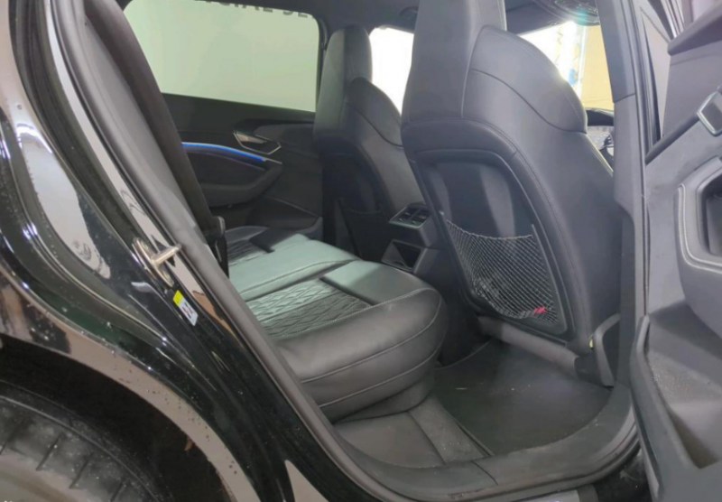 Audi - E-tron - pic6