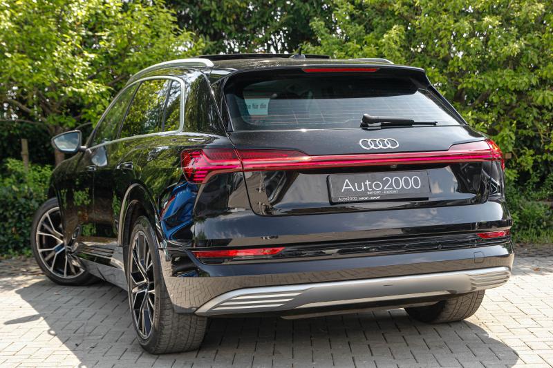 Audi - E-tron - pic9