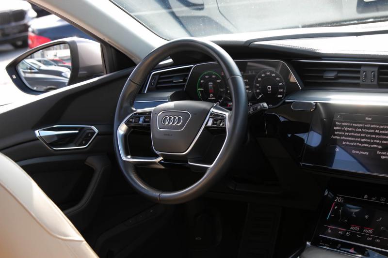 Audi - E-tron - pic16
