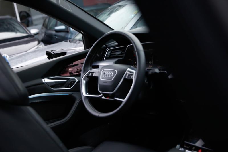 Audi - E-tron - pic19