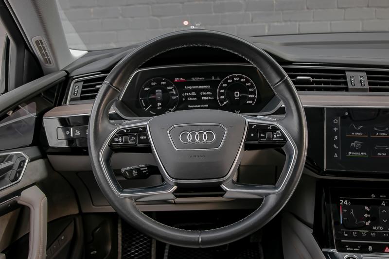 Audi - E-Tron - pic38