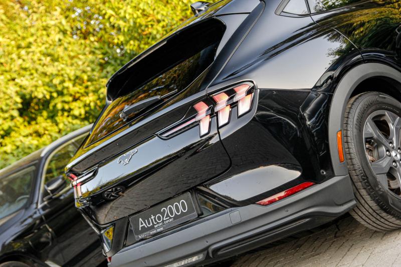 Ford - Mustang - pic4