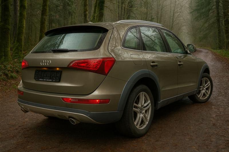 Audi - Q5 - pic2