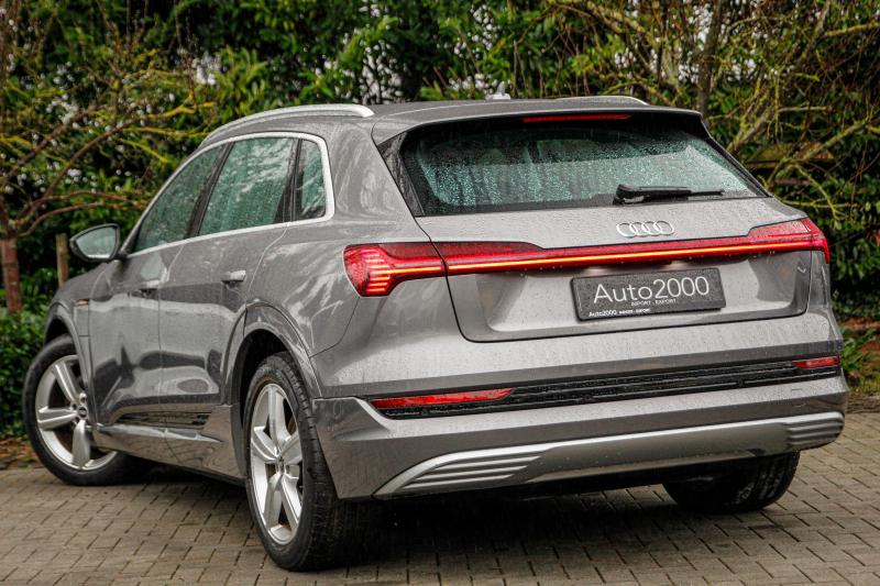 Audi - E-tron - pic11